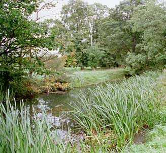 The local Towcester flora